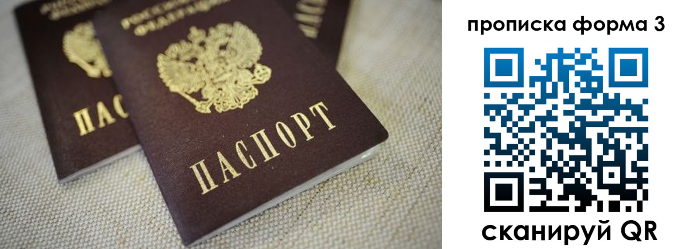 прописка поиск в Киришах